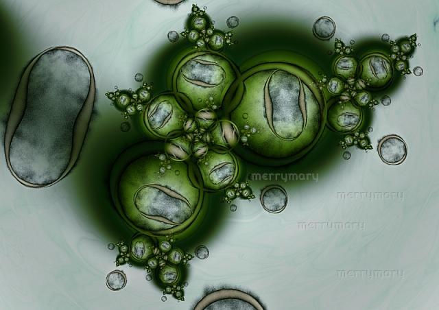 mms-2007-03-20-09-v2v1